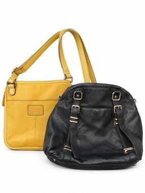 Fossil + danier leather bag bundle (flaws)